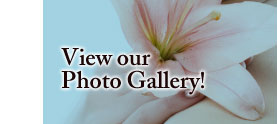 View our Photo Gallery